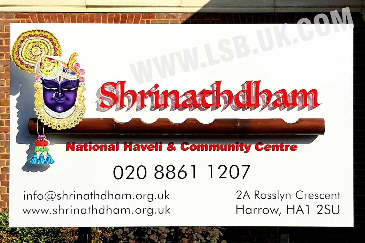 Push Through Letters And 3D Logo Lion Signs Blinds Push through letters and 3d logo lion signs blinds